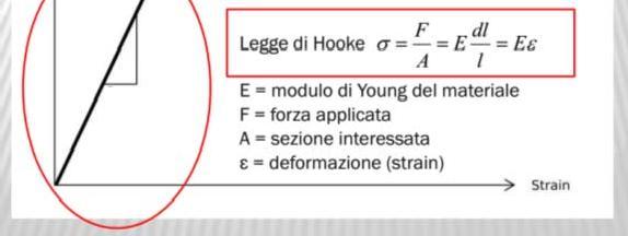 Forza Deformazione Forza Trasduttore Strain Lo