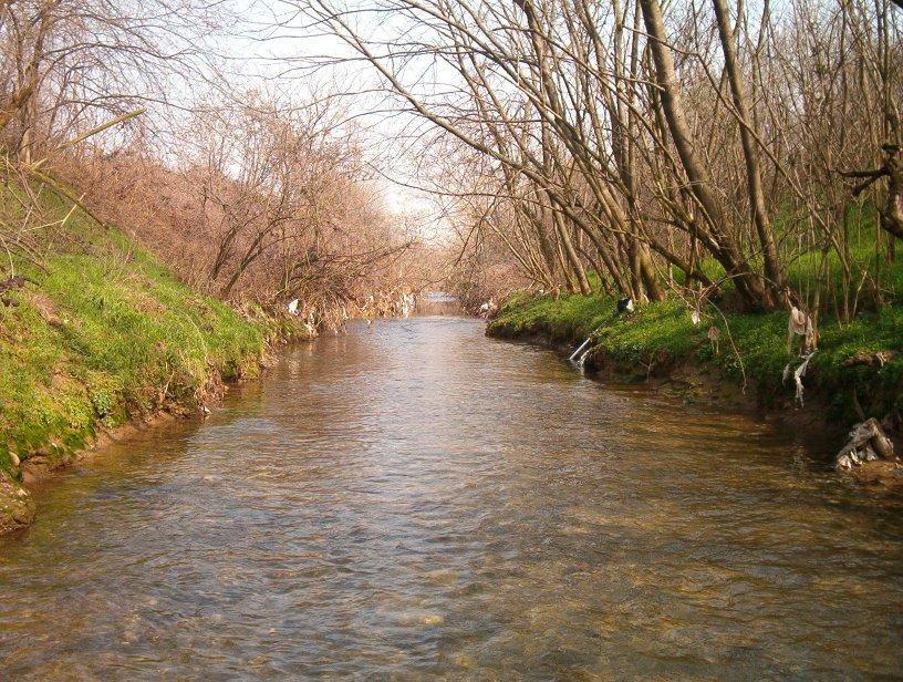 IN05 00 DE2RIID0002-004 1 3 di 39 1.ASSETTO GEOMETRICO Il Torrente Garza attraversa la pianura a sud di Brescia. Nella Figura 1 è possibile vedere il tipico assetto del torrente.