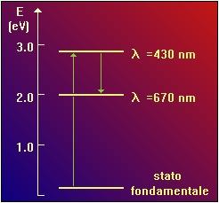 Gli stati eccitati della clorofilla Nel grafico, molto semplificato, sono evidenziati i due stati eccitati della molecola di