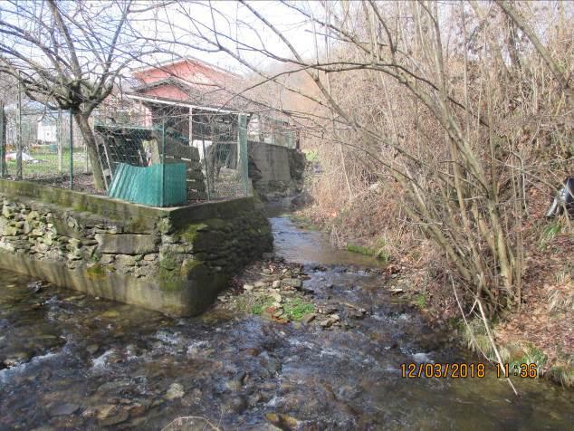 Vista del tratto di fiume oggetto di intervento