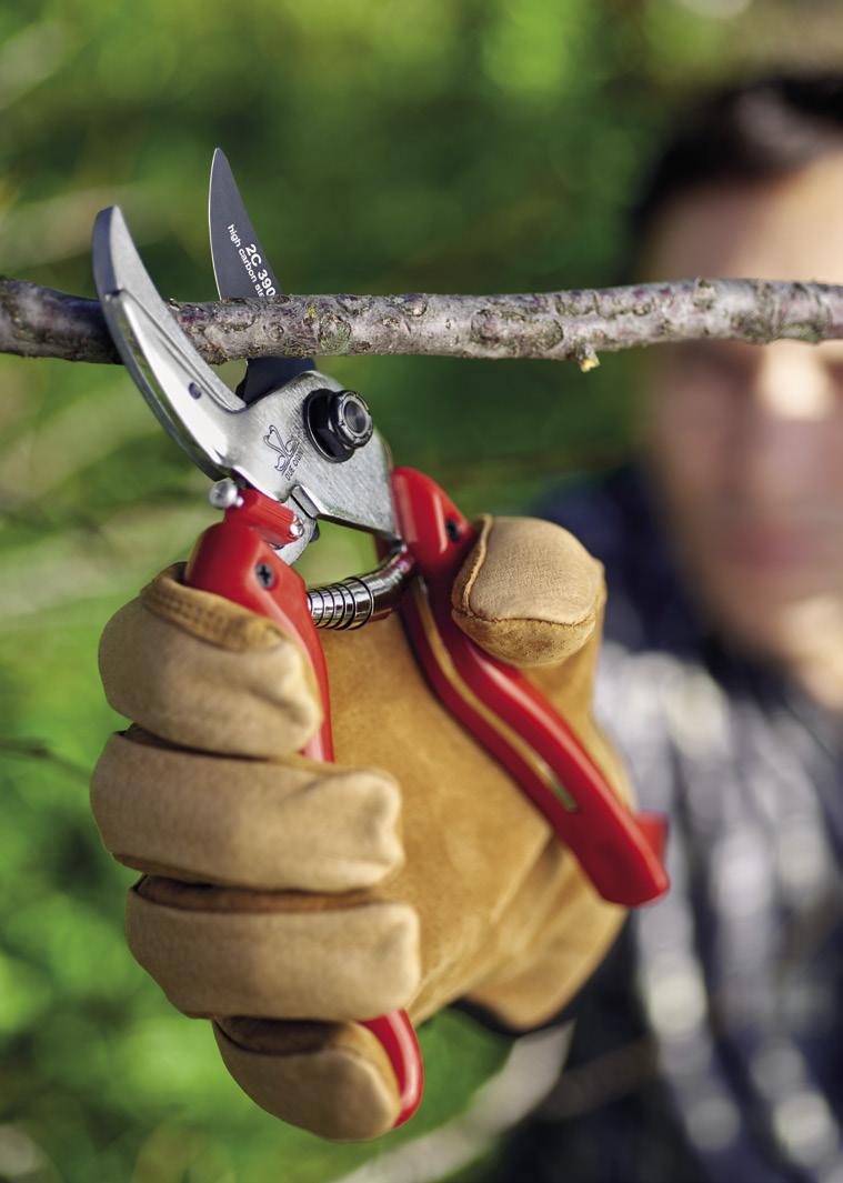 PRUNING SHEARS FORBICI DA POTATURA ANVIL CUT TAGLIO BATTENTE Nel caso di legno particolarmente duro e secco si possono utilizzare forbici a taglio battente, costituite da una lama di taglio dritta e