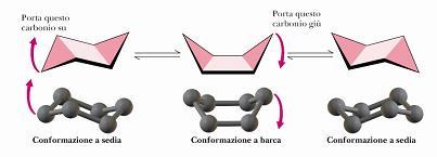Esistono 2 conformazioni di cicloesano a sedia in veloce interconversione tra loro Il passaggio da una