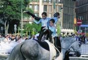 it Mensile del Comitato Regionale Lombardo della Federazione Italiana Sport Equestri.