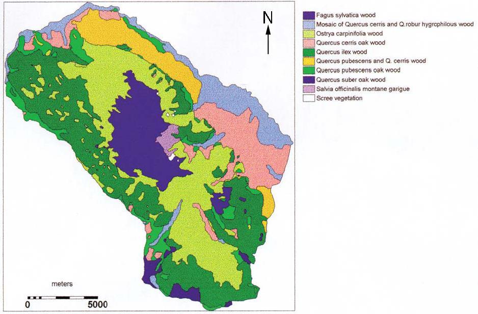 Frammentazione Processo dinamico