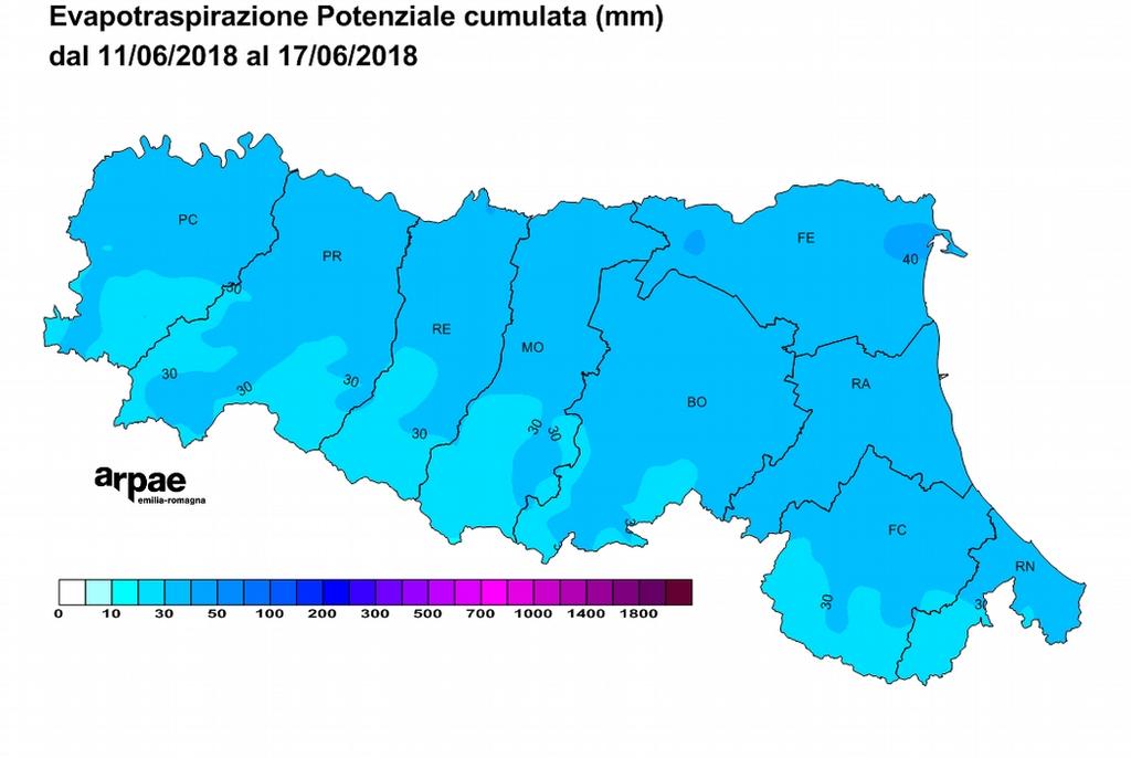 evapotraspirazione L evapotraspirazione è l effetto cumulato dell evaporazione dalla superficie del terreno e della traspirazione dell acqua dalle piante.