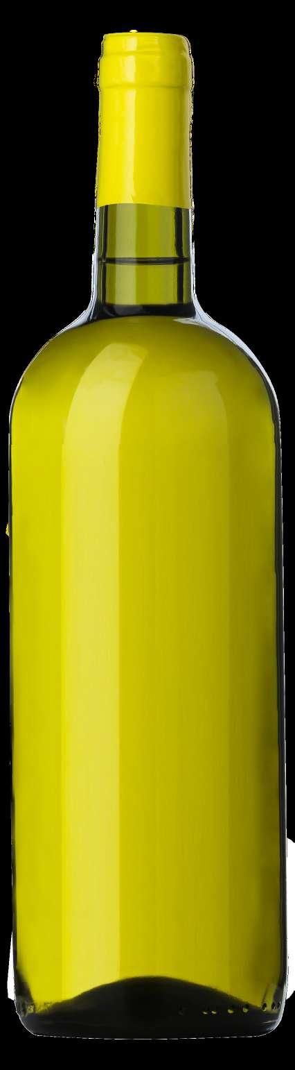 MALVASIA COLLI PIACENTINI D.O.C. FRIZZANTE Vino ottenuto dall omonimo vitigno, di colore paglierino chiaro, caratteristico profumo aromatico, sapore secco, frizzante naturale.