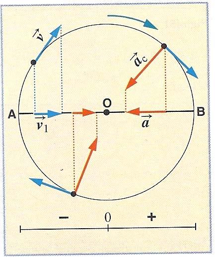 un diamer AB della circnferenza è un m armnic semplice.