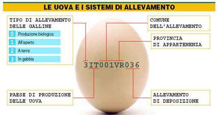 Le uova: l etichetta In base alla qualità le uova vengono divise in due categorie: -Categoria A o