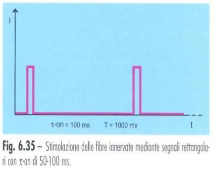 0.25ms. Vascolarizzazione e wash-out out.