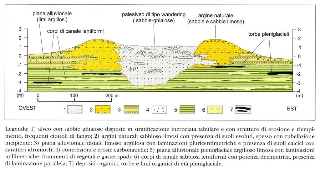 Figura 4: Profilo schematico di un dosso fluviale (da Bondesan et al., Geomorfologia della Provincia di Venezia) 3.
