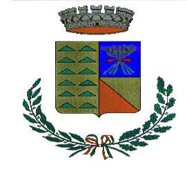 COPIA COMUNE DI COLLI SUL VELINO (Provincia di Rieti) DELIBERAZIONE DI CONSIGLIO COMUNALE N. 25 DEL 01.06.