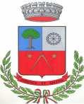 COMUNE DI BARASSO (Provincia di Varese) Approvato con delibera del Consiglio