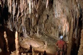 Domenica 26 marzo Escursione speleologica nel Carso triestino Andremo in montagna-all'incontrario : cioé sottoterra.