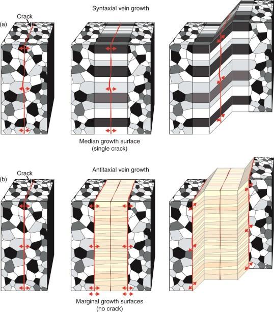 : vene di calcite in un calcare) N.B. Le fibre delle vene non sono deformate, ma crescono durante la deformazione.