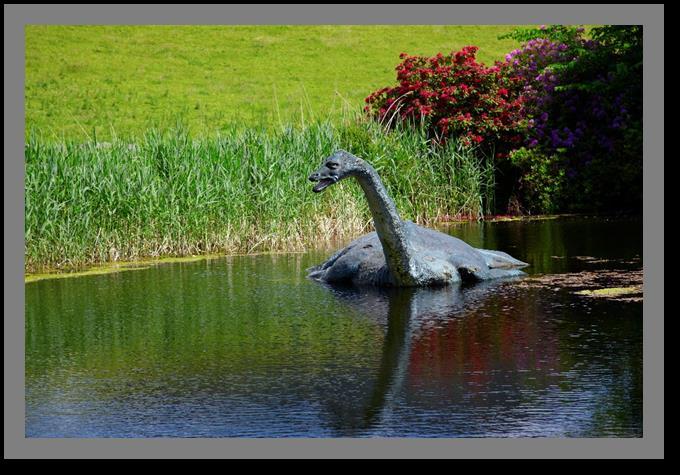 Annexe 4 Immagina un animale mostruoso. Descrivilo e disegnalo. Per la sua descrizione puoi seguire questo modello. Nessie è un animale acquatico che vive in un lago d'acqua dolce in Scozia.