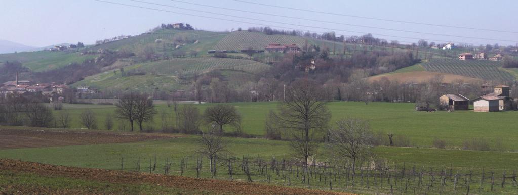 quali si sta espandendo il nucleo urbano di Castelvetro e l esclusione di una parte del versante occidentale della valle del Guerro dal perimetro della tutela.