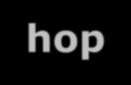 IL BALZO SUCCESSIVO 1. hop-hop-hop-hop-hop-hop-hop-hop-hop-hop-hop-hop 2. hop-hop-hop-hop-hop-hop-hop-hop-hop-hop-hop-hop 3.