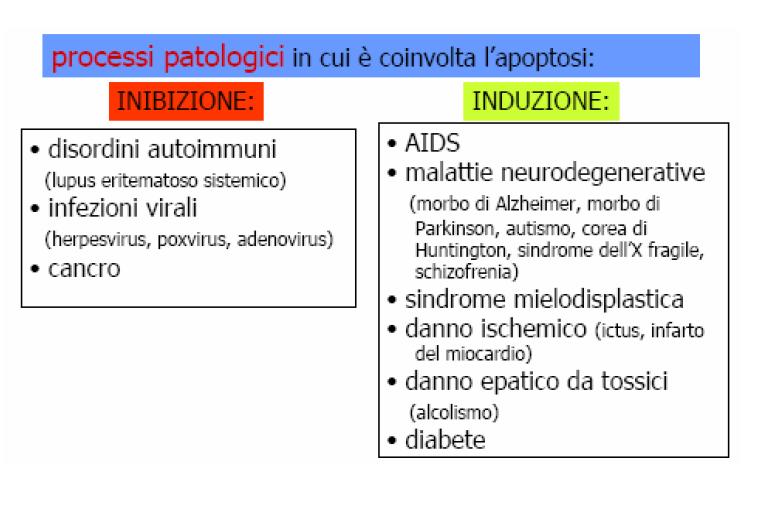 utilizzare i cinque sensi, di deambulare,