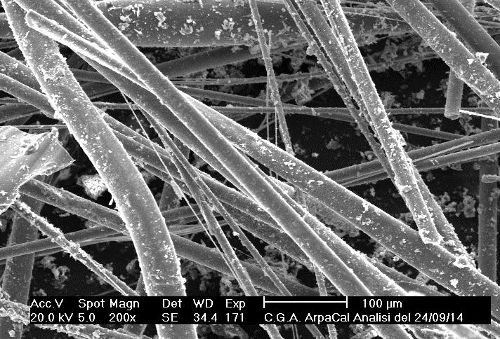 Microscopia Elettronica a Scansione (SEM) e Microanalisi in