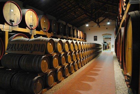 Le Cantine Pellegrino, accanto alla produzione del loro vino di identità il marsala, producono ottimi vini siciliani che saranno oggetto di una prossima visita.