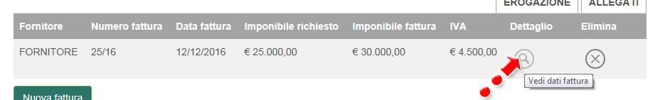 Figura 133 Dati della fattura Qualora l utente si accorga di aver inserito dei dati sbagliati, può modificarli cliccando sull icona della lente d ingrandimento