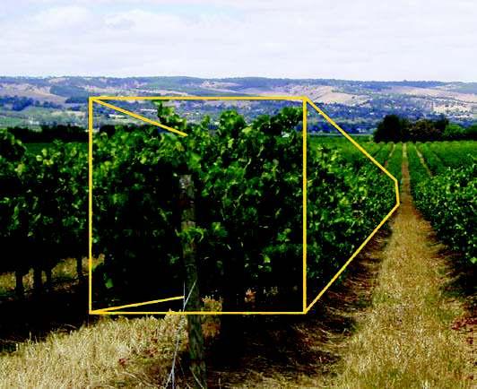 1 metodo TRV Si calcoli il volume di vegetazione teorico [Vv] espresso in m 3 ha = H C 10000 i 3,5 1,2 10000 4,0 = Sapendo che l Indice di volume [I], che esprime litri necessari per 1000 m 3 di