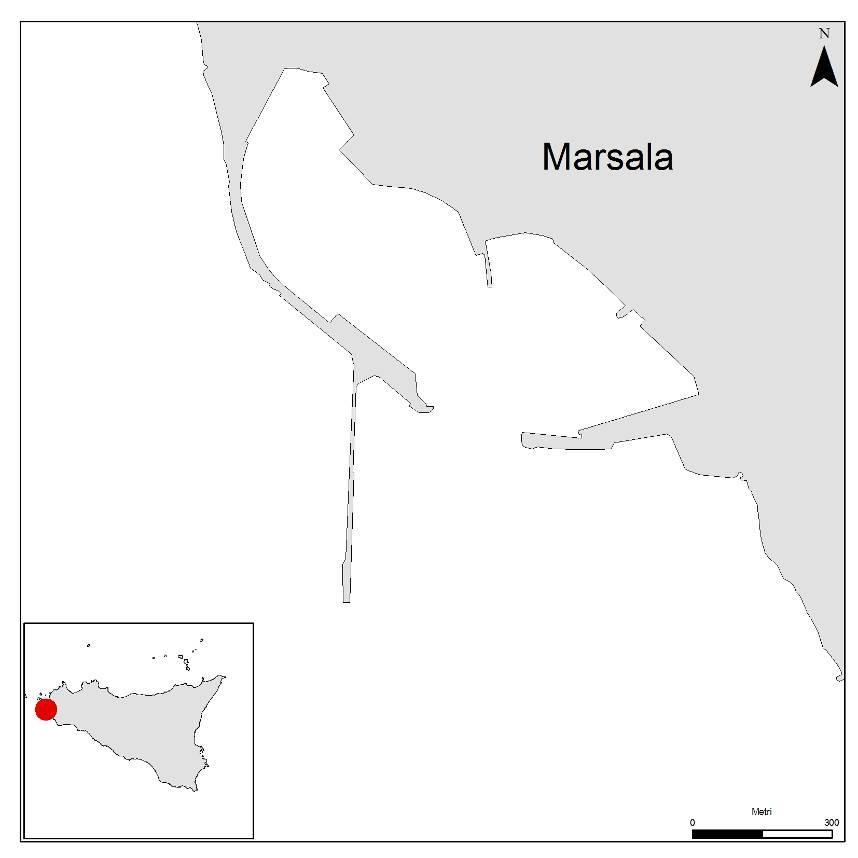 Studio integrativo ed indagini geofisiche e biocenotiche ad alta risoluzione sulla presenza qualitativa e quantitativa di Posidonia