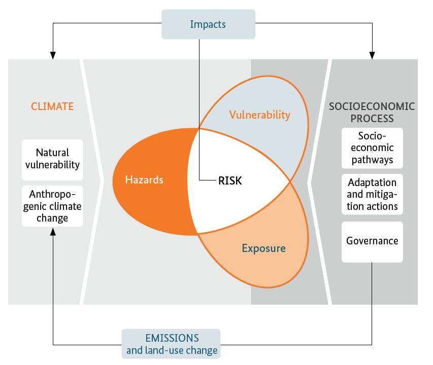 Analisi di vulnerabilità Componenti fondamentali per la determinazione del rischio legato ai cambiamenti climatici L'esposizione e la vulnerabilità interagiscono per produrre rischio.
