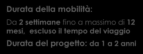 Tirocinio formativo all estero presso imprese, altri contesti di lavoro