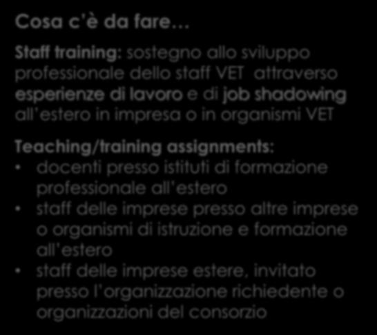 di VET (docenti, formatori, personale amministrativo e