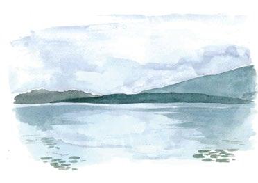 per tutti dal 28 aprile al 27 ottobre DOMENICHE SUL LAGO Escursioni sulla barca elettrica Amicizia con accompagnamento di un naturalista che farà conoscere i luoghi più suggestivi del lago di Alserio.