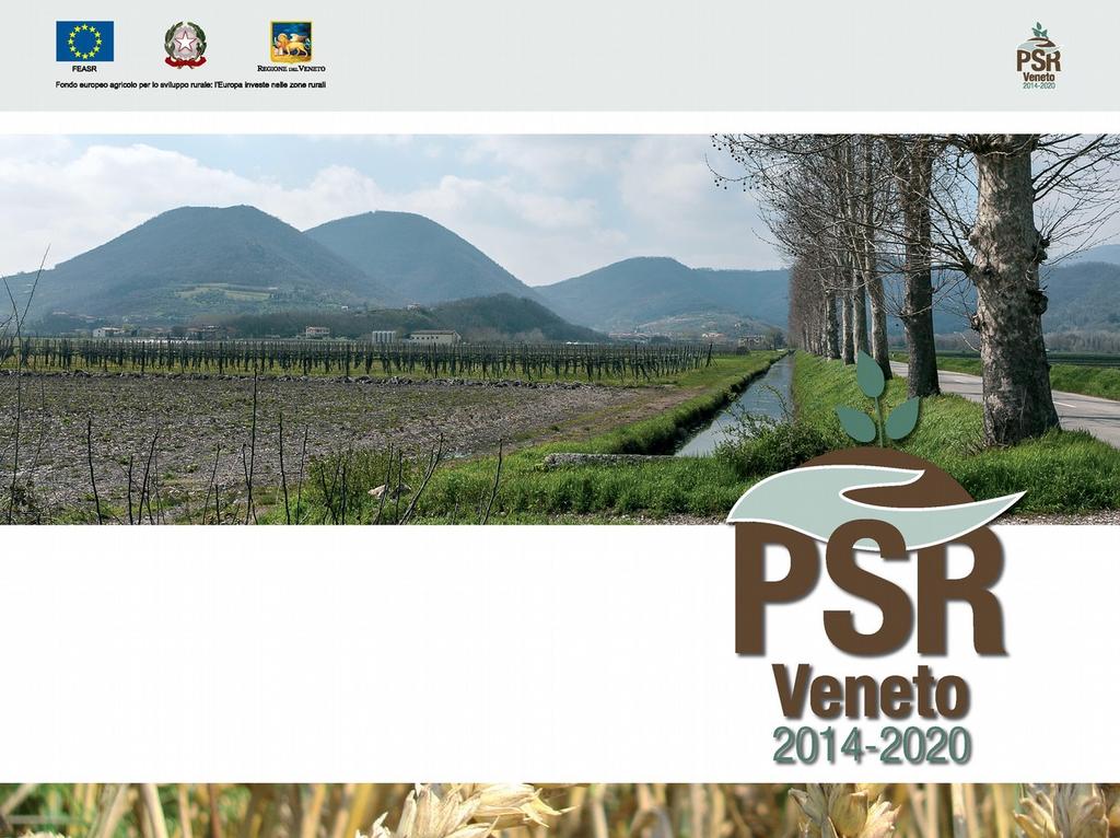 Inquadramento generale Cosa fare se sei un giovane che vuole aprire un azienda agricola Cosa fare se vuoi investire nell azienda