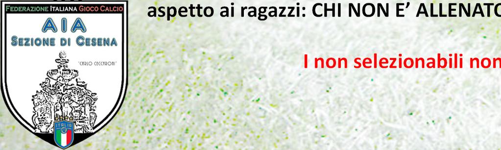 CRITERI E PARAMETRI DI VALUTAZIONE Categoria Giovanissimi e Allievi vediamo se c è l Arbitro pesando la preparazione atletica e la padronanza del regolamento.