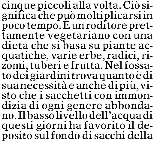 Quotidiano