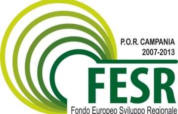 Attuazione POR FESR 2007/2013 Approvato con Decisione C(2013) n. 4196 del 5 luglio 2013 e ss. mm. ii.