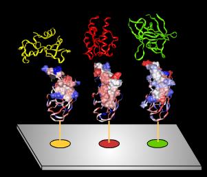 Microarray di proteine funzionali Legame di piccole molecole (proprietà di binding) Modificazioni posttraduzionali Interazioni