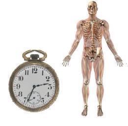 Outcomes relativi al tempo Considerando il tempo più lungo I pazienti che