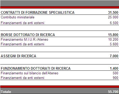 FORMAZIONE ALLA RICERCA E LA SPECIALIZZAZIONE POST- LAUREAM Con riferimento al dottorato di ricerca l ateneo continuerà a mantenere inalterato il numero delle borse così come