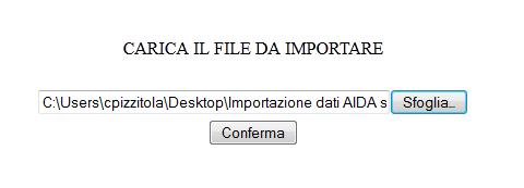 Una volta allegato il file, cliccare su Conferma per proseguire con l importazione dei dati.