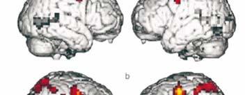 Mirror neurons and circuits Aree prefrontali, attive sia nell osservazione che nell immaginazione che nell esecuzione esecuzione di movimenti. Lo sperimentatore muove le mani senza oggetto.