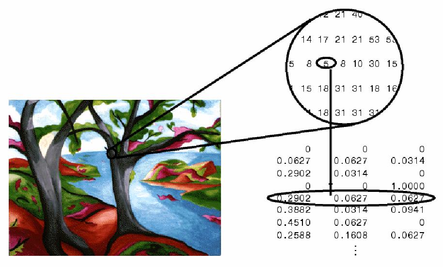 Le immagini in Matlab Un immagine consiste di una matrice di valori numerici ed eventualmente di una matrice contenente una palette (colormap).