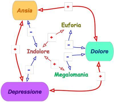 COSA PUO INFLUENZARE IL DOLORE? COSA PUO MIGLIORARE IL DOLORE? Stato d animo positivo e positivista Buona attività fisica (alti livelli di endorfina) Attenzione e cura di se stessi, senza esagerare.