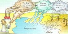 Il buco dell ozono è l assottigliamento dello strato di ozono, un involucro di gas, che protegge la Terra dai raggi ultravioletti del sole che sono molto nocivi per l uomo.