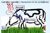 1995 2005 2015 2025 TENDENZE GLOBALI per i PRODUTTORI di LATTE e per gli ANIMALI in PRODUZIONE Attori Produttori, Animali, Consumatori, Società Produttori, Animali Longevità,