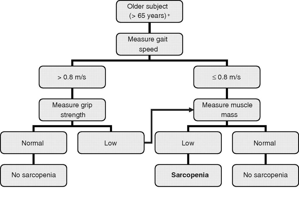 Algoritmo EWGSOP per la diagnosi di sarcopenia nel paziente