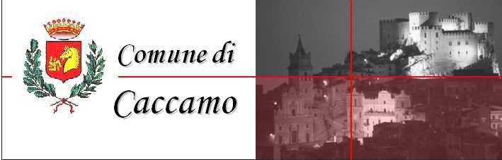 C O M U N E C A C C A M O Provincia Regionale di Palermo Corso Umberto I, 78 90012 Prov. Pa Tel. 091-8103111 IV SETTORE - SERVIZI FINANZIARI RESPONSABILE P.O. : Responsabile del procedimento: Determinazione n.