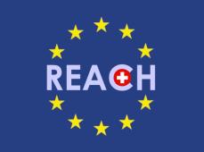 REACH Compliance GmbH Route des Chevallets 7 CH-1658 Rossinière Schweiz Firmenunterstützung für Chemikaliensicherheit und Arbeitsschutz Tel. 026 924 32 10 info@reach-compliance.ch www.