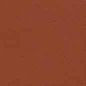 INDIAN BROWN 48 -