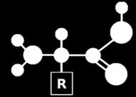 Un amminoacido è una molecola che possiede due diversi gruppi funzionali: COOH e NH 2. I due gruppi possono essere legati allo stesso atomo di carbonio o anche a carboni diversi.