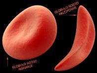 Per esempio due proteine, l ossitocina e la vasopressina, differiscono solo per due amminoacidi ma svolgono funzioni completamente differenti.